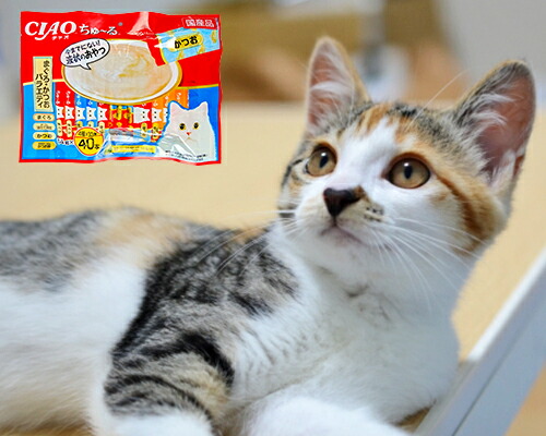 INABA ちゅ〜る キャットフード チュール 猫 ちゅーる 猫餌 チャオちゅ
