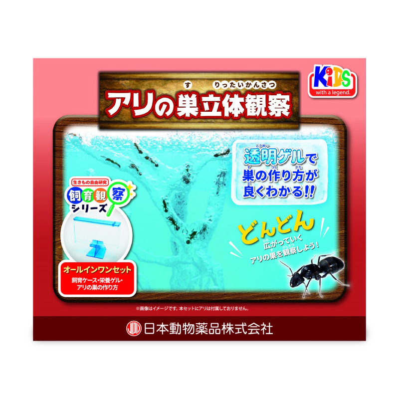 ニチドウ 《送料無料》ニチドウ アリの巣立体観察キット : にっぽん