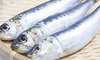 いわし