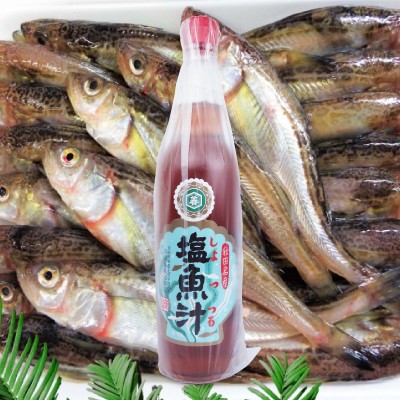 仙葉善治商店 塩魚汁 しょっつる 550ml 2本 × 入荷予定