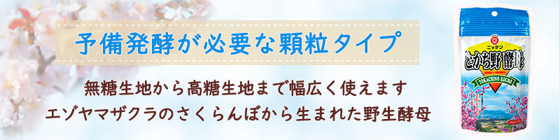 とかち野酵母のインスタントドライイースト