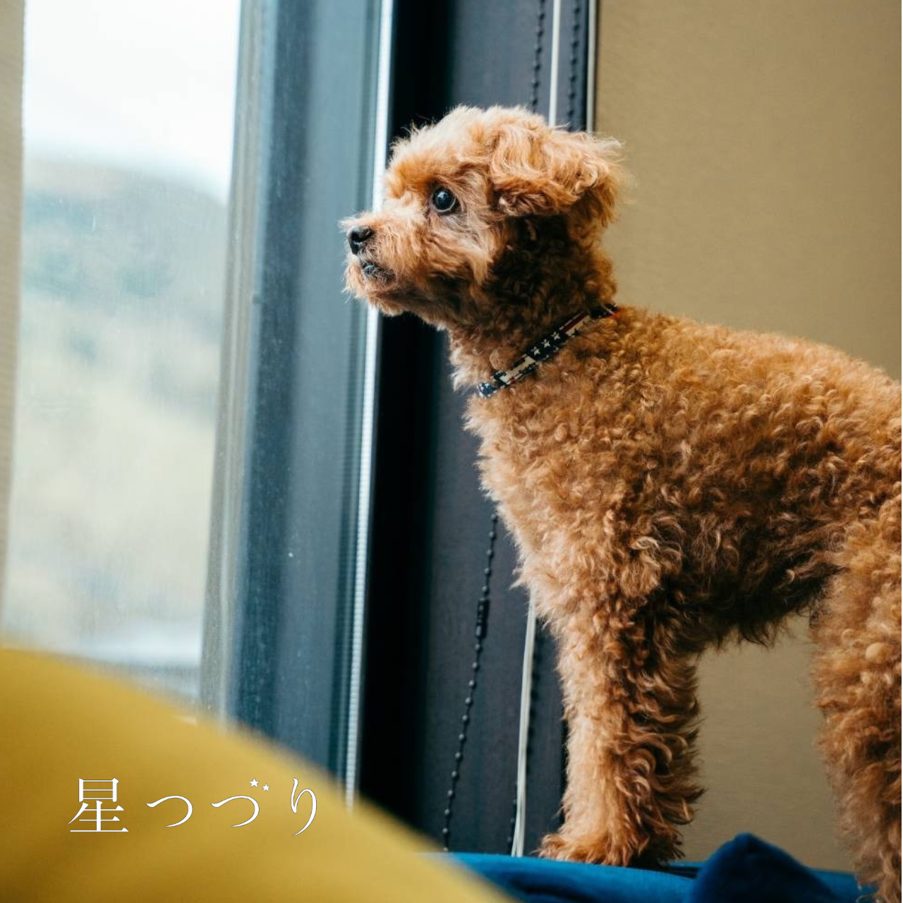 商品名／特徴