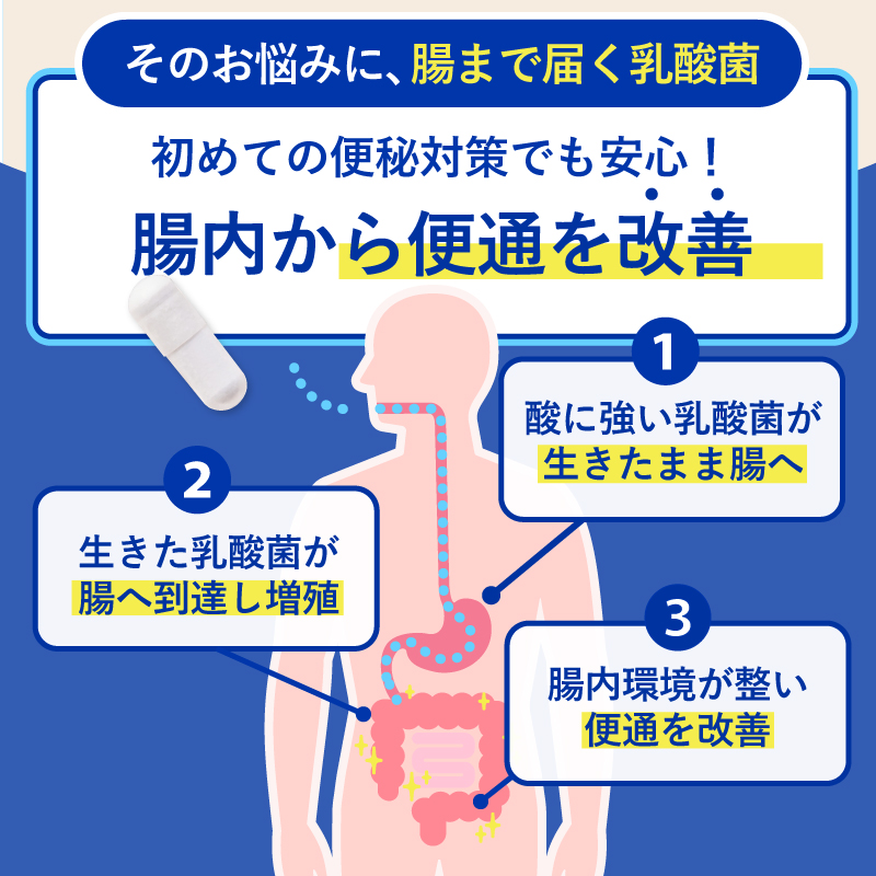 【クーポンで最大40%off】ウェルカム快便 乳酸菌 サプリ 便通 30粒 30日分 腸活 宿便 お通じ 便秘 サプリメント ビフィズス菌 ...