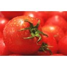 絶品トマトと白い苺,天然ハチミツ