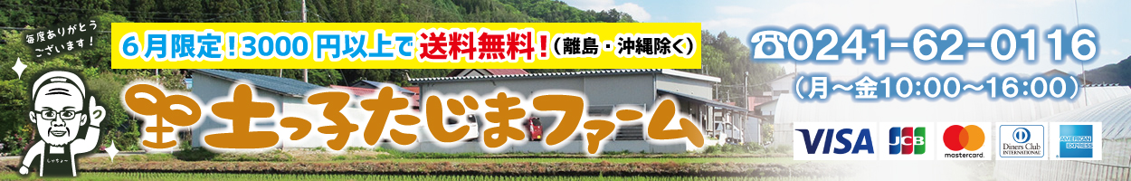 高品質新品 南会津 南会津産ひとめぼれ使用 無添加 ギフト 麹 田島の三五