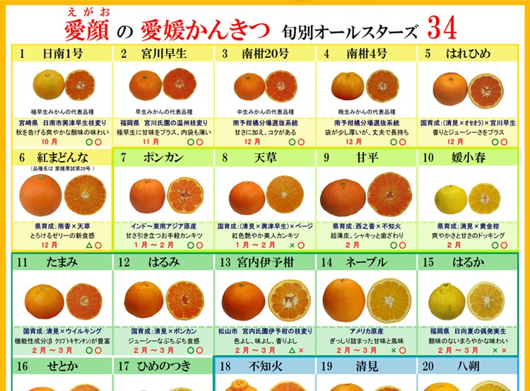 フレッシュ つちやま - ファミリーセット｜Yahoo!ショッピング