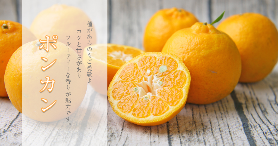 フレッシュ つちやま - Yahoo!ショッピング