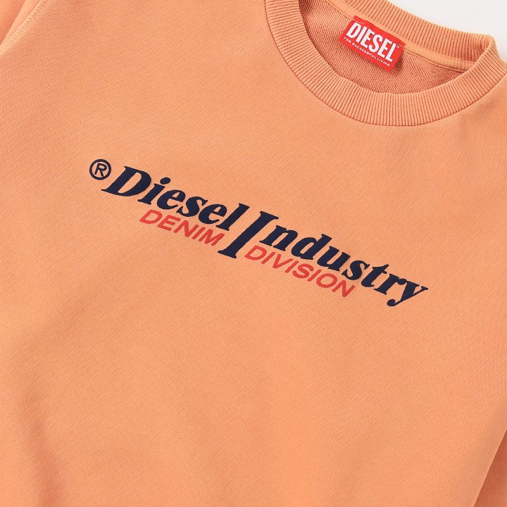 ディーゼル　オーバーサイズ　スウェット　トレーナー　ビンテージロゴ DIESEL ディーゼル プルオーバースウェットシャツ トレーナー