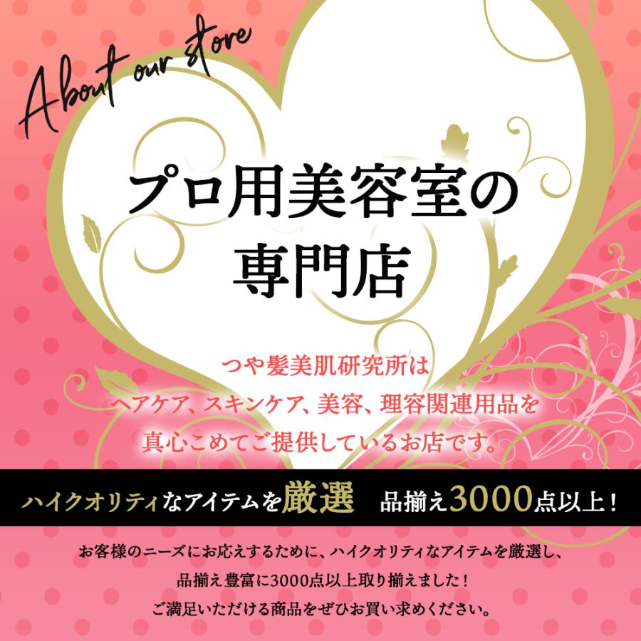 FEEL フィールクリッパー P900 プロ用バリカン フェードシェーバー BLDCモーター搭載 静音 ハイパワークリッパー 理容室 理容師 プロ用美容室専門店 BCD3389253530