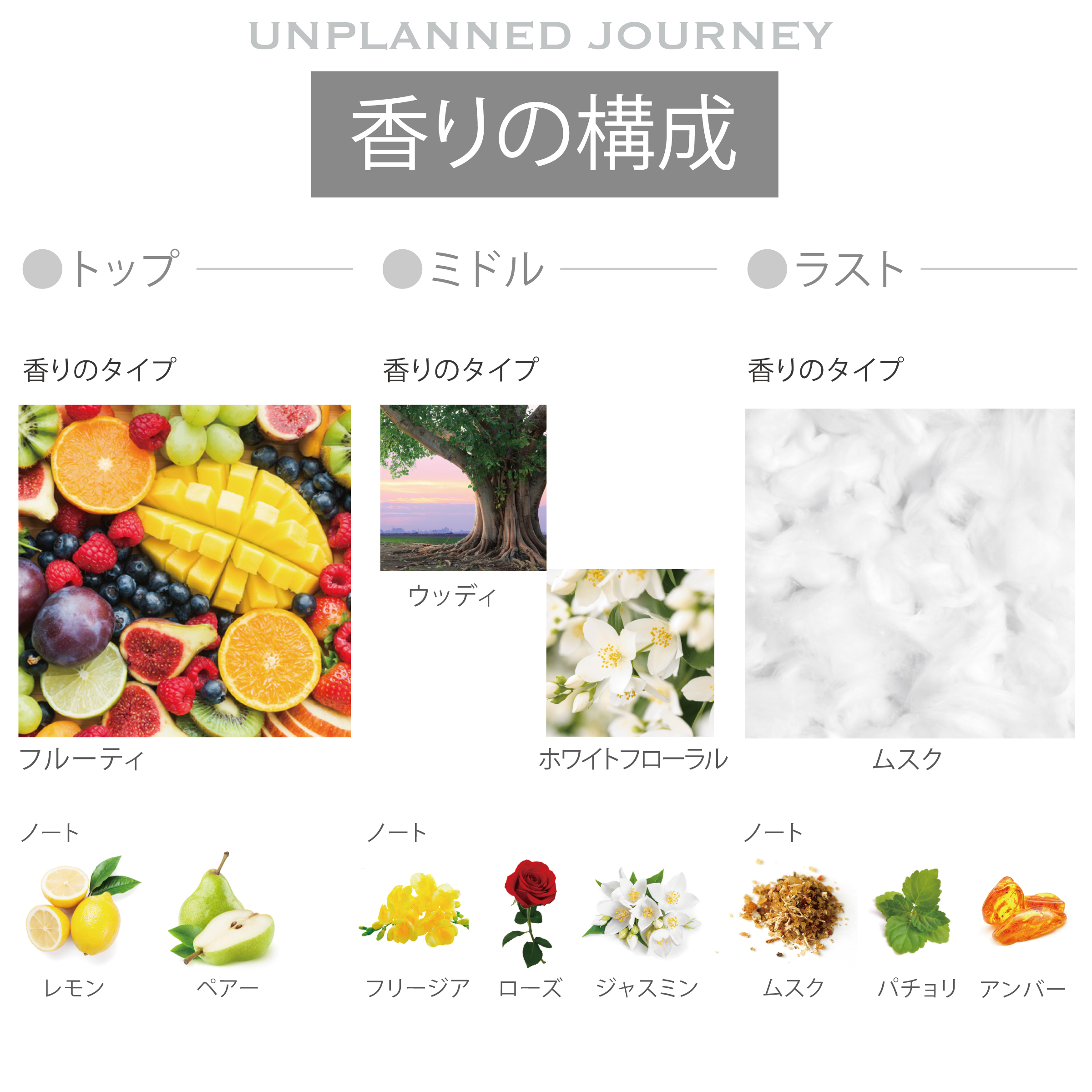 爆買 香水 メンズ レディース お試し 50代 オードトワレ アンプラント