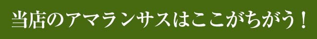 国内検査済み