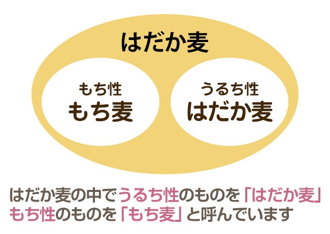 食物繊維で健康に