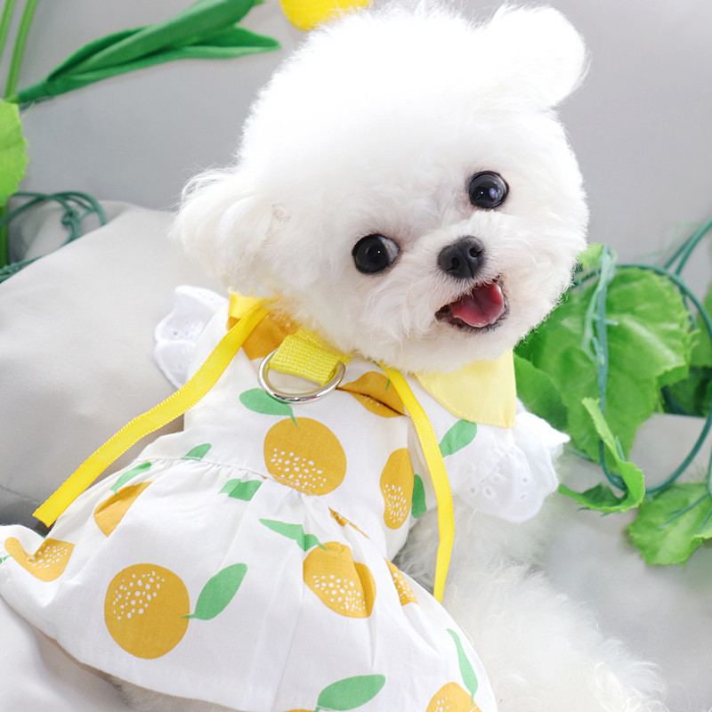 ペット服 犬服 猫服 ドッグウェア 韓国ペット服 犬用ドレス ペット
