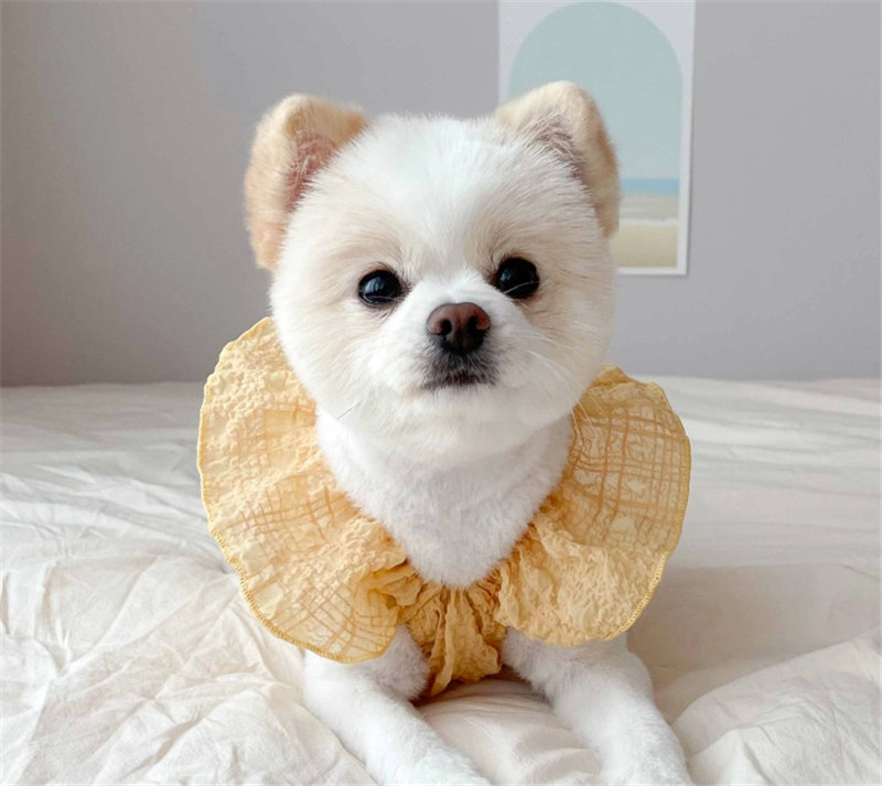 ペット服 犬服 猫服 ドッグウェア 韓国ペット服 犬用ドレス ペット
