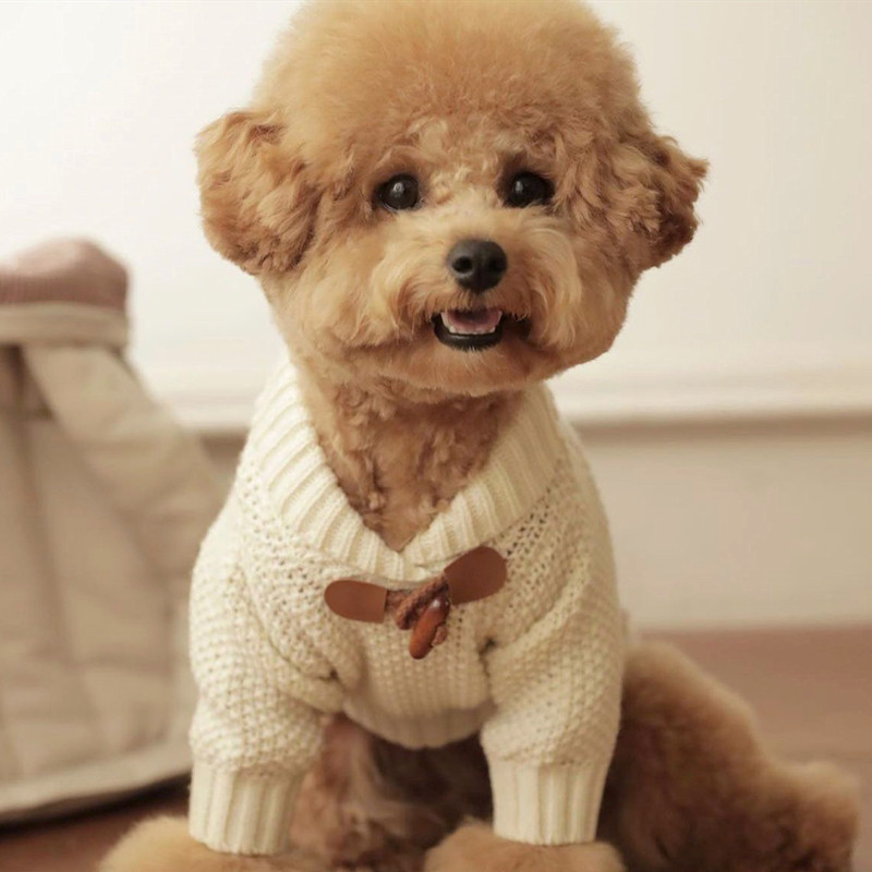 ペット用 セーター 犬 小型犬 チワワ 猫 SS お出かけ かわいい