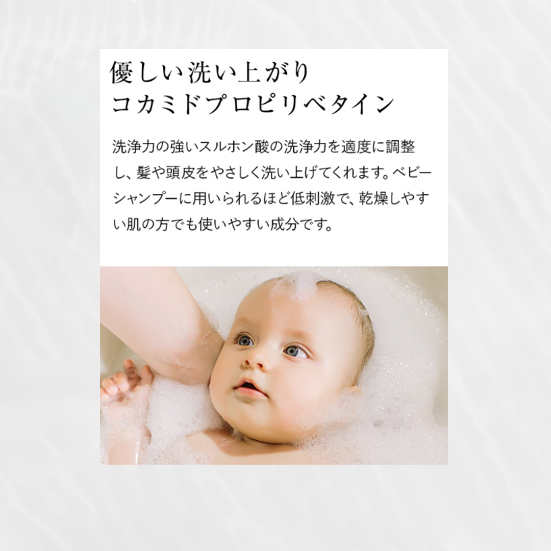 シャンプー モーツァルト PINCHER shampoo Mozart 500mL ピンシャー