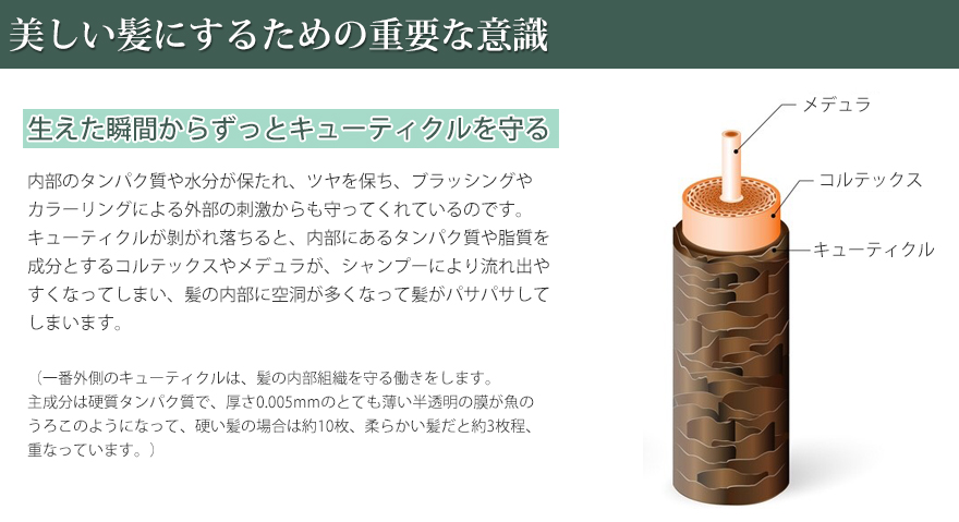 PINCHER ピンシャー　シャンプー&コンディショナー　ショパン 楽天市場】【コンディショナー ショパン】conditioner “chopin