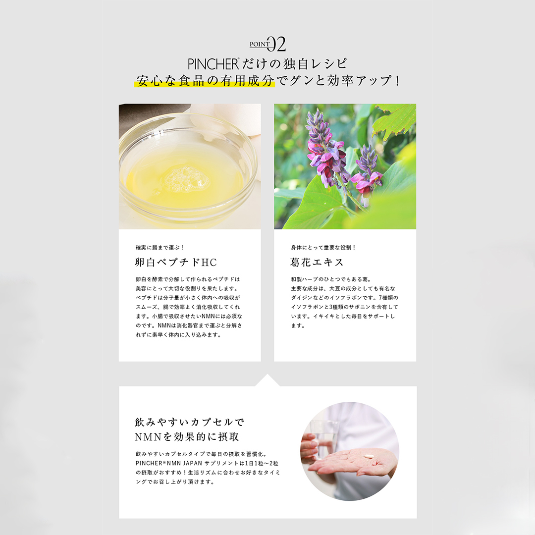 inner reset NMN粉末サプリメント(23包) 61zk2OdL4WL._UF350,350_QL50_.jpg