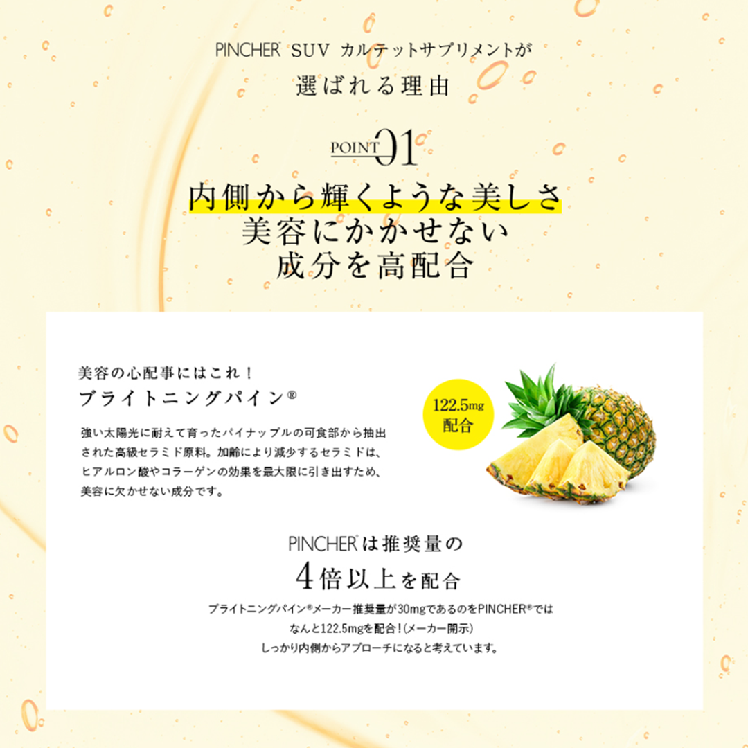 【日焼け対策SUV】PINCHER SUV Quartet Supplement SUV Quartet Supplement】 – PINCHER®JAPAN【公式】