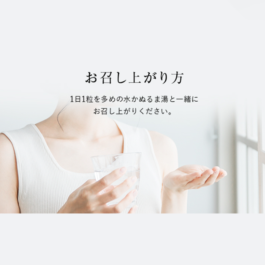 SUV Quartet Supplement PINCHER ピンシャー カルテットサプリメント