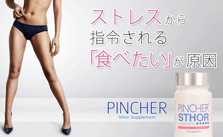 PINCHER Sthor Supplement