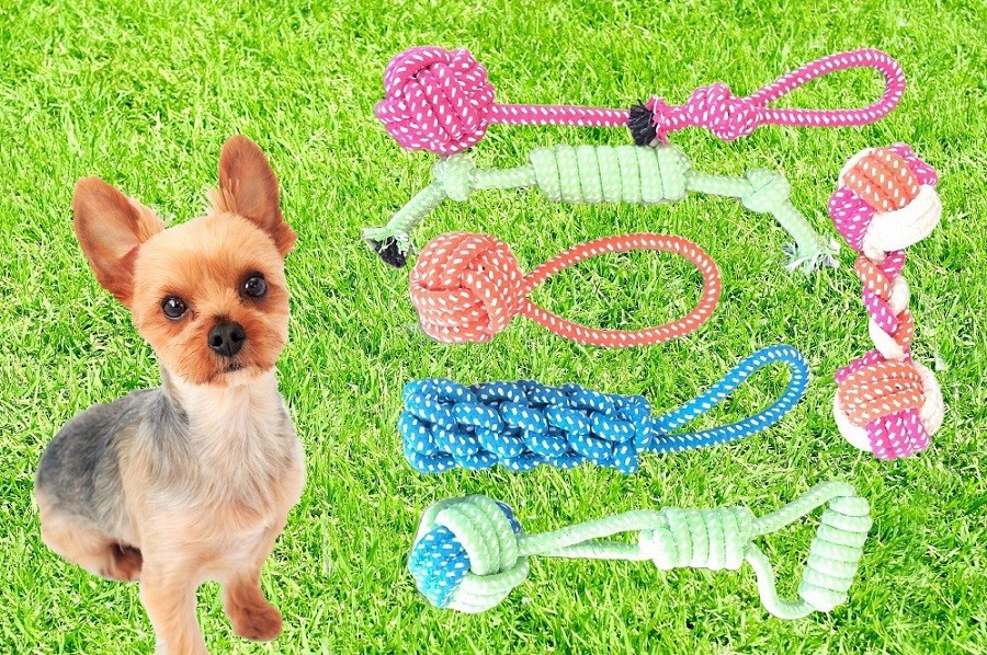 urban field 犬 おもちゃ 噛む玩具 噛み癖予防 しつけ 6個セット
