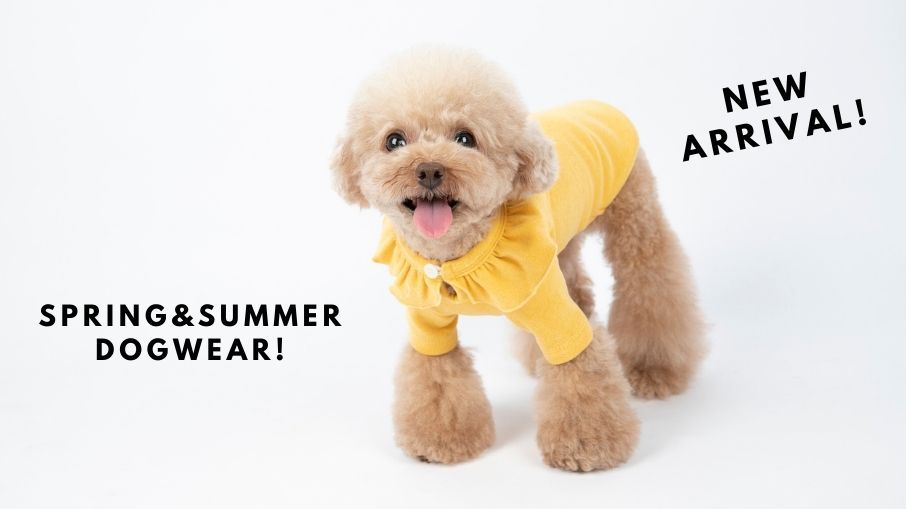 Twiggy Style シンプル可愛い犬服 楽天市場店