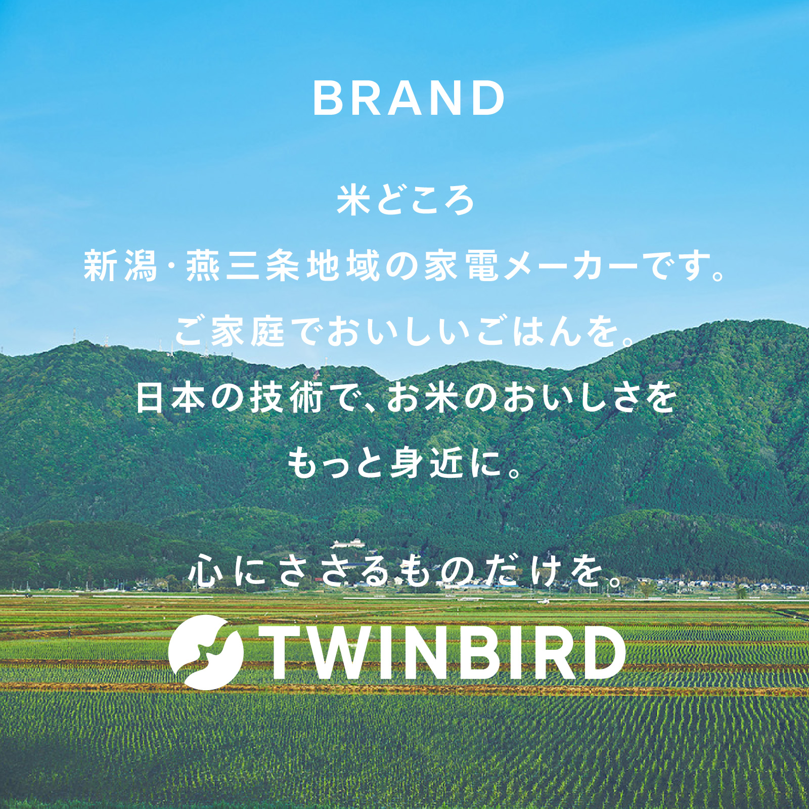 ツインバードのブランドプロミス