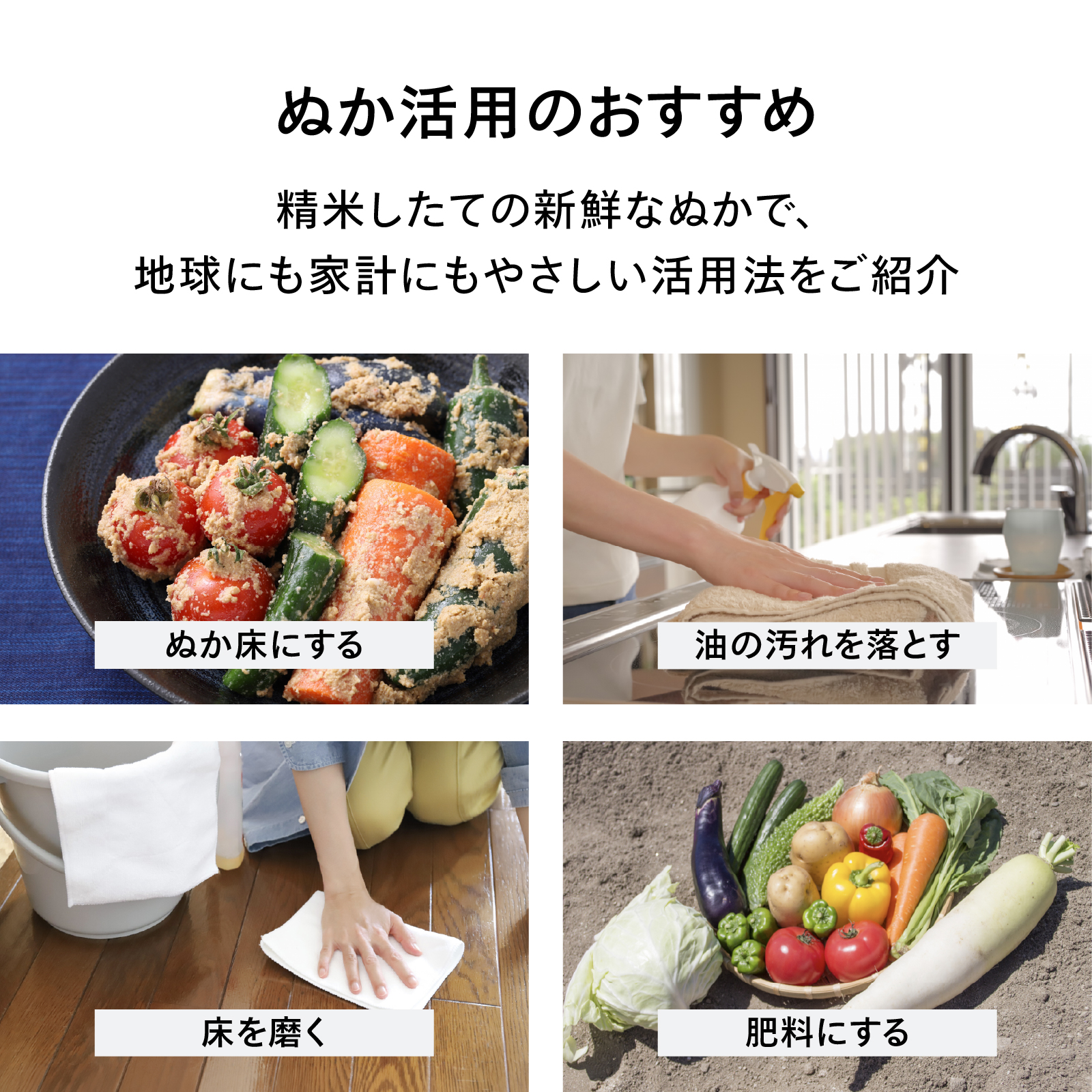 精米したてのぬかの活用法として、ぬか床、油汚れ落とし、床磨き、肥料への使い方を紹介する内容