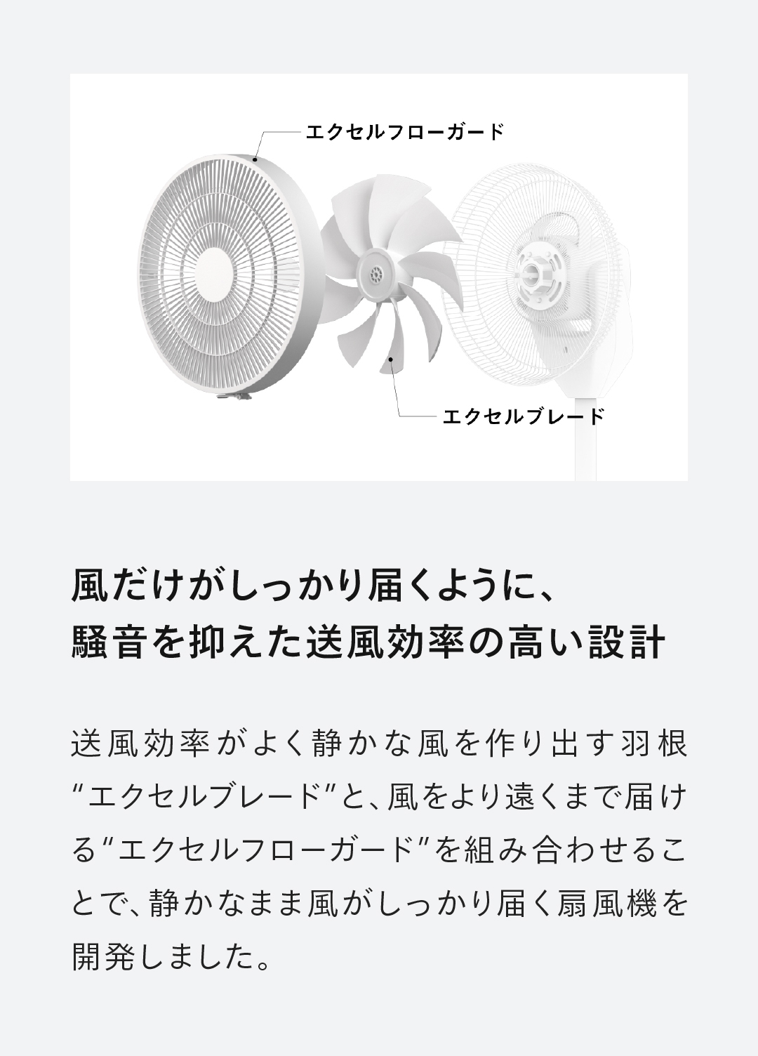 ツインバード（TWINBIRD） 【新商品・公式】扇風機 DCモーター 3D首