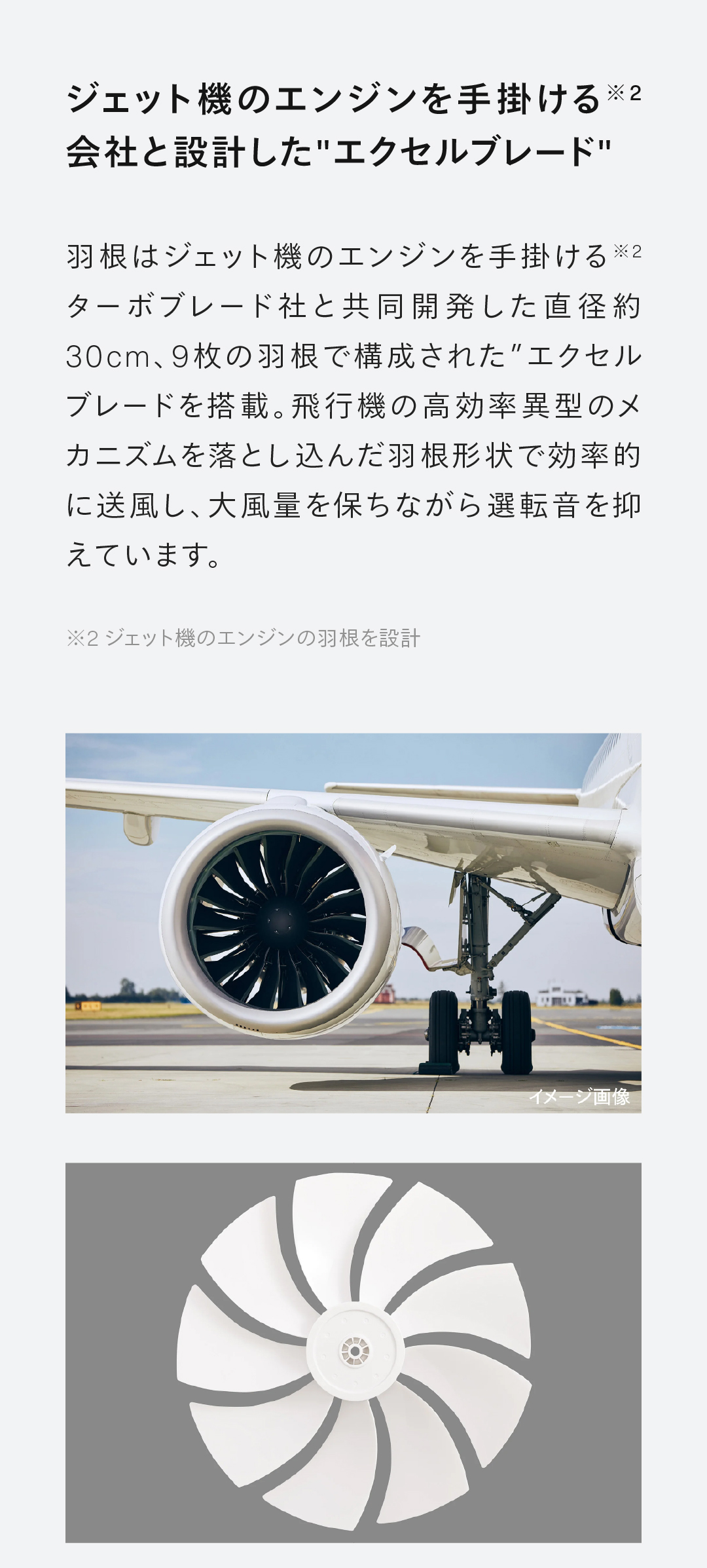 ツインバード（TWINBIRD） 【新商品・公式】扇風機 DCモーター 3D首