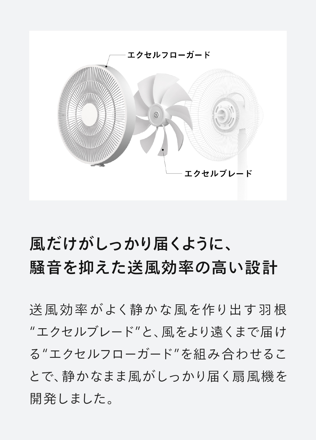 ツインバード（TWINBIRD） 【新商品・公式】扇風機 静音 EF-J952W