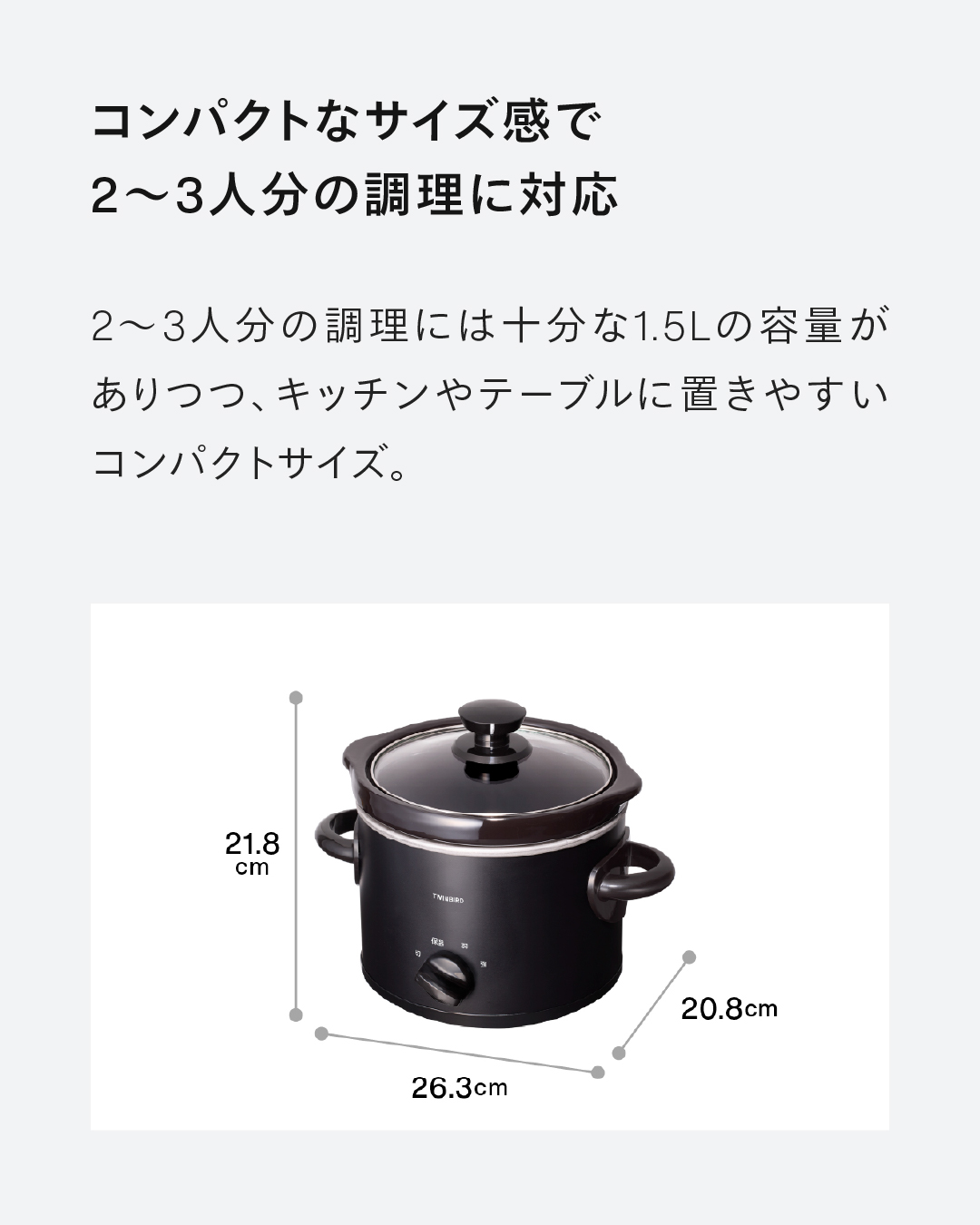 ツインバード（TWINBIRD） 【新商品】スロークッカー 電気調理鍋 EP