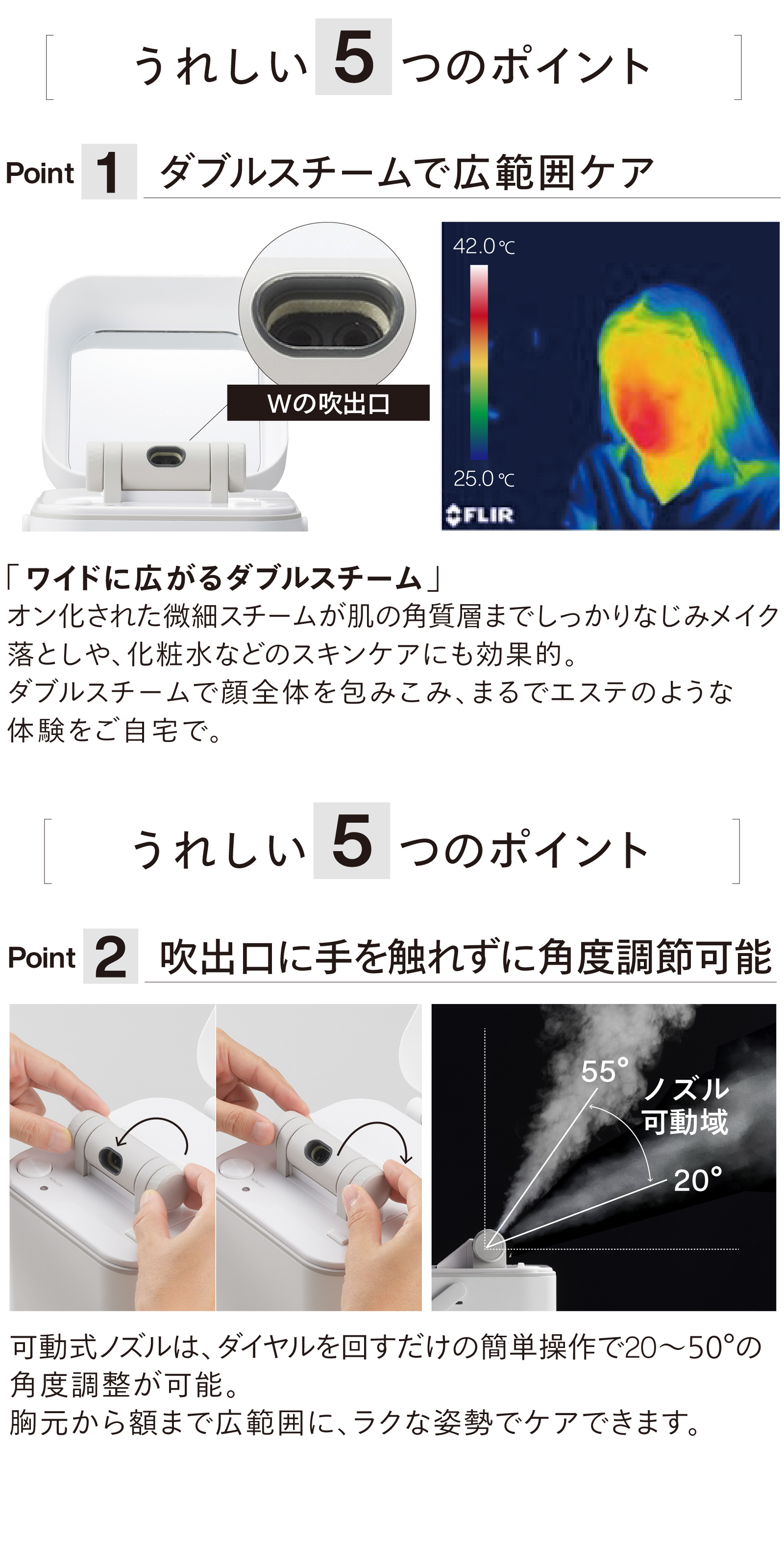 ツインバード（TWINBIRD） フェイススチーマー 美顔器 ESH-2787W