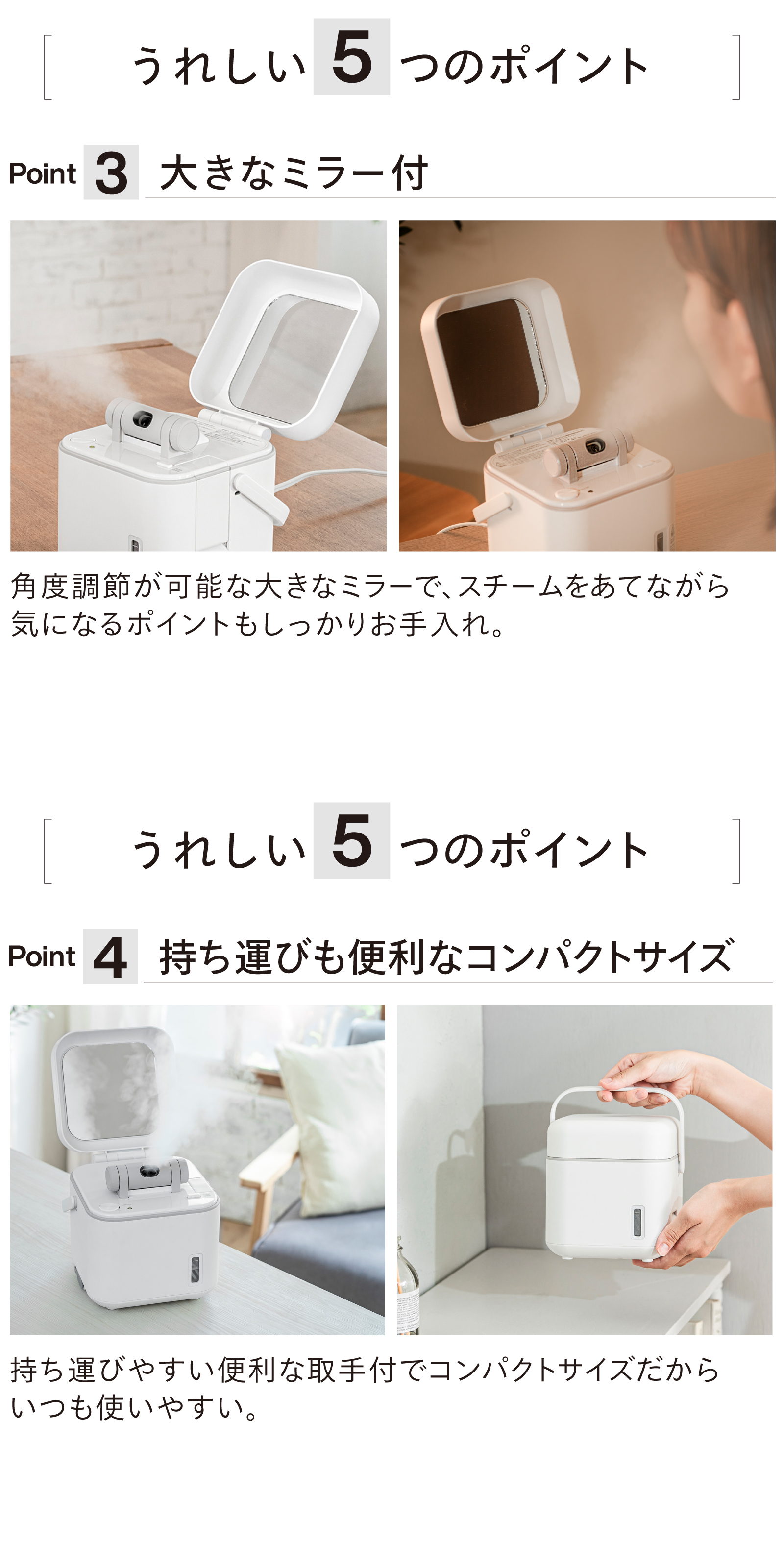ツインバード（TWINBIRD） フェイススチーマー 美顔器 ESH-2787W
