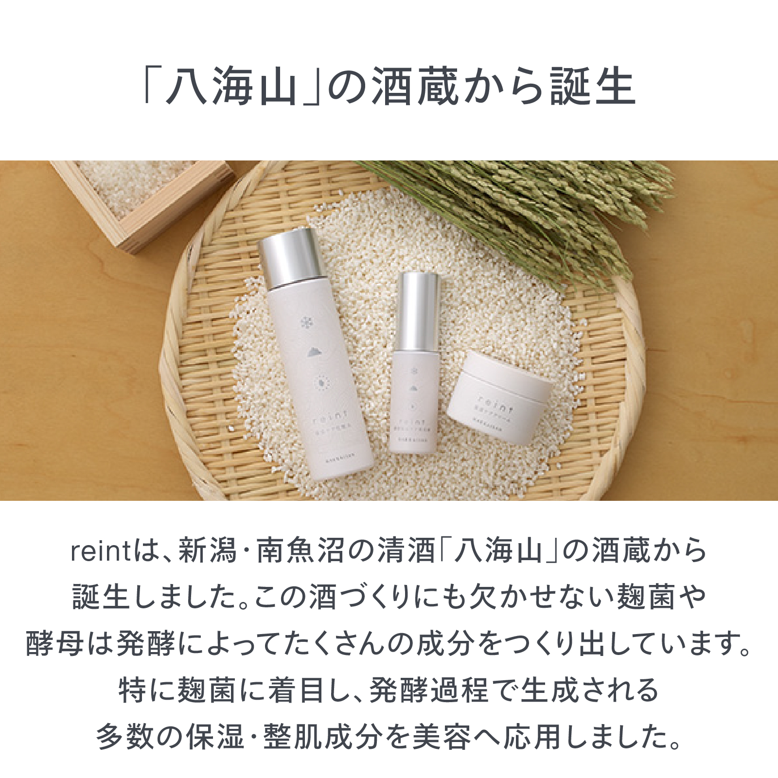 ツインバード（TWINBIRD） reint 保湿ケア化粧水 120ml 高保湿 無香料