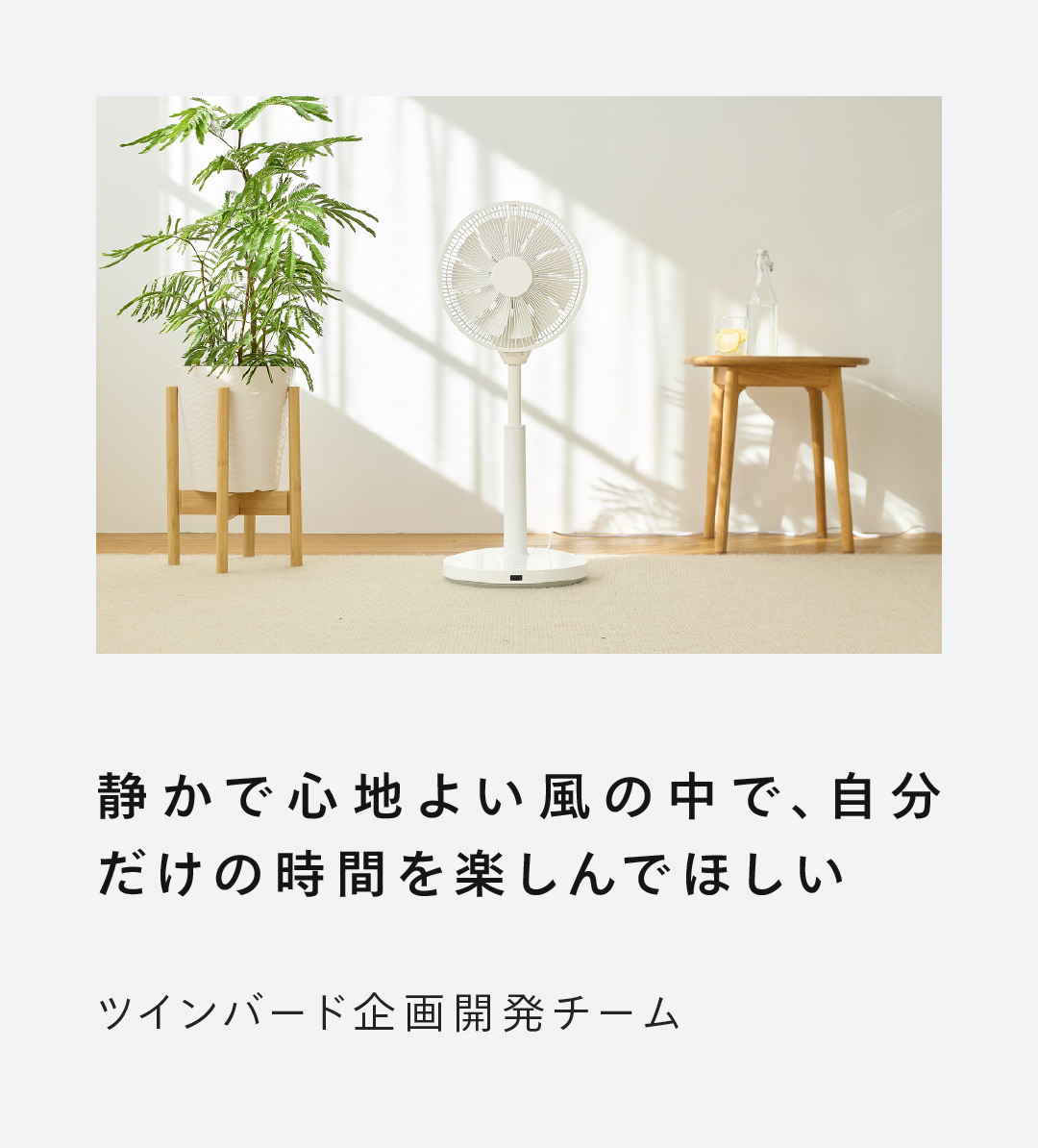 ツインバード（TWINBIRD） 扇風機 DCモーター 3D首振り 静音 大風量