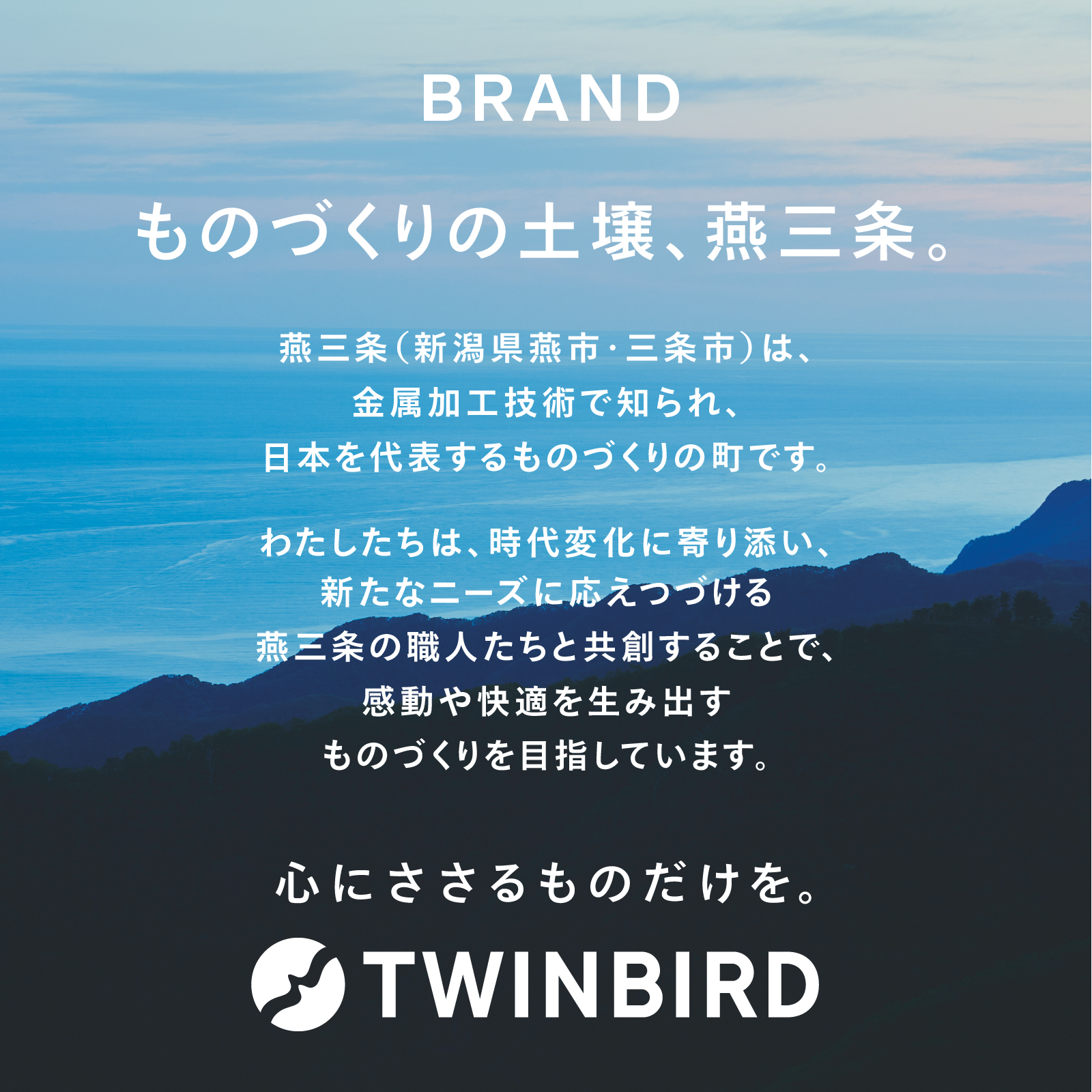 ツインバード（TWINBIRD） 【公式】衣類スチーマー スチーマー