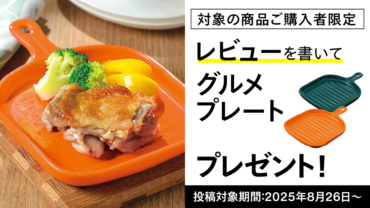 ツインバード 【公式】ノンフライ コンベクション 2枚焼き TS