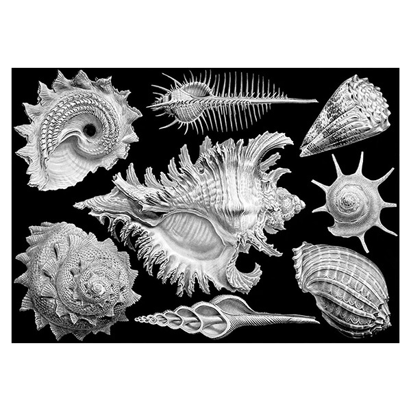 クラウドベリーズ ART into PAZZLE ジグソー パズル 1000ピース