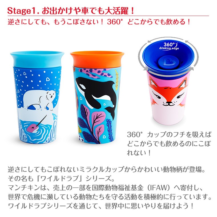 カップ　コップ　2個セット　  kmzt-fuku.jpg