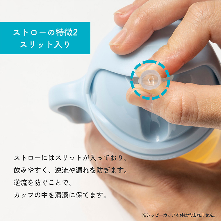 ビーボックス シッピーカップ 専用 スペア 替えストロー クリーナーセット bbox 関連画像3