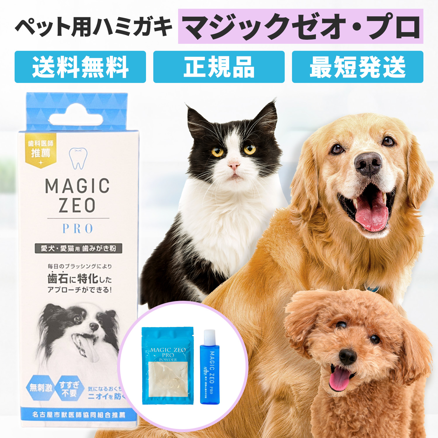 マジックゼオプロ 犬 ペット 歯磨き 歯石取り 歯石除去 歯石 歯磨き粉 口臭 EDOG JAPAN | EDOG JAPAN