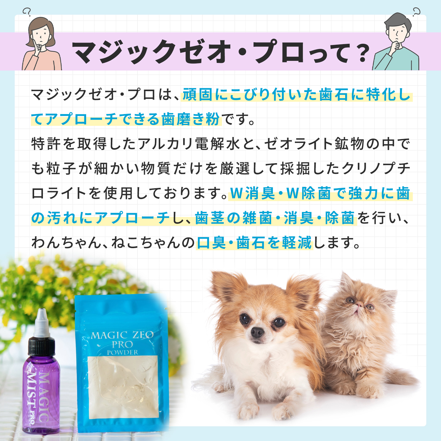 マジックゼオプロ 犬 ペット 歯磨き 歯石取り 歯石除去 歯石 歯磨き粉 口臭 EDOG JAPAN | EDOG JAPAN | 01