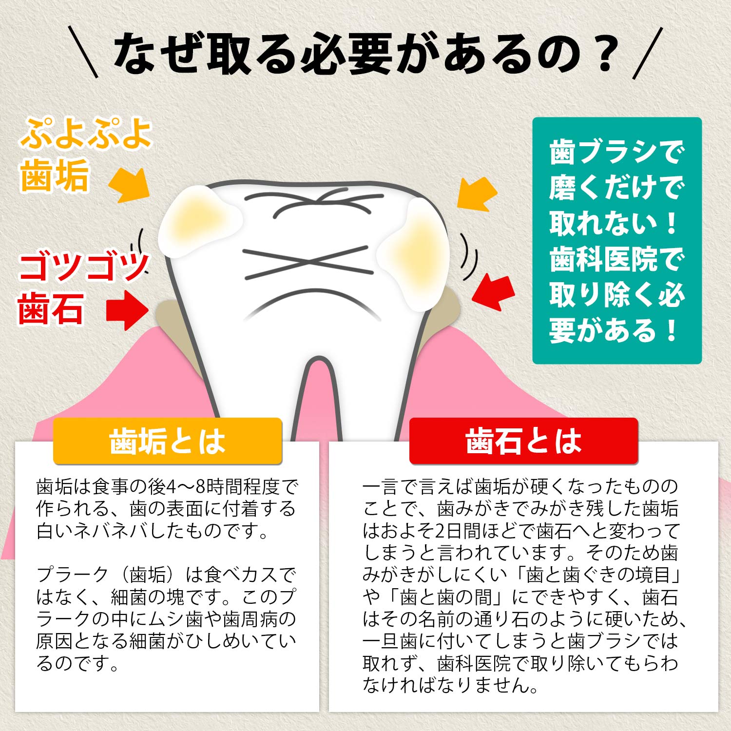 応援特価! 医療認証品 歯石取り スケーラー 歯石 スケーラー 歯 歯石除去 5点セット 自宅 デンタルケア 虫歯 予防 歯垢 歯鏡 口腔ケア ケース付 関連画像3