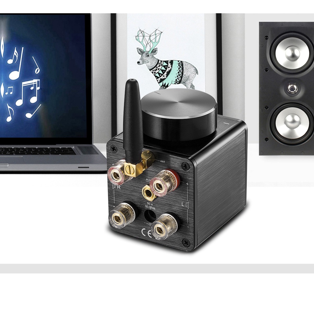 Douk Audio Little Bear G5 Mini デジタル パワーアンプ Douk Audio Little Bear G5 Mini デジタル パワーアンプ