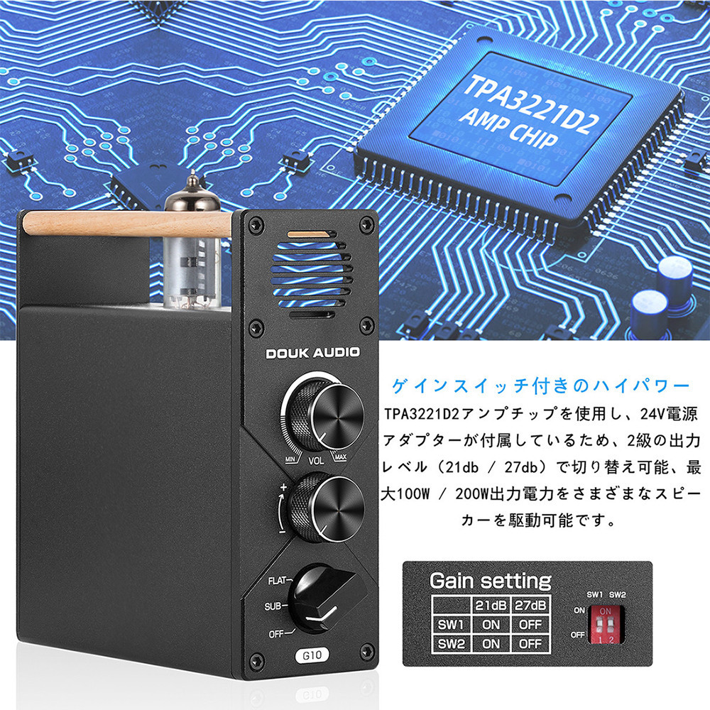 Douk Audio G10 6K4 モノチャンネル 真空管 アンプ サブ