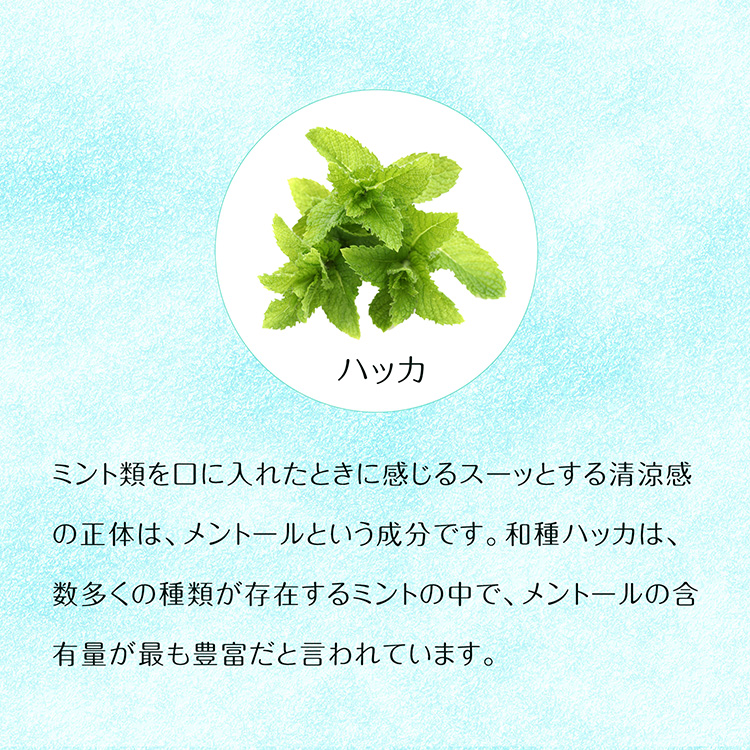 保冷剤付きハッカ油タオル
