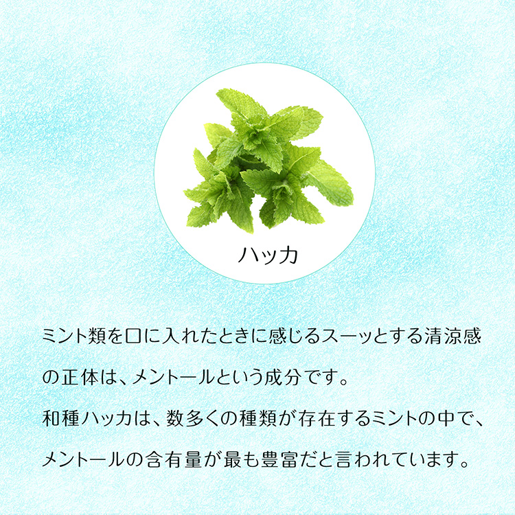 ハッカ油パイルタオル