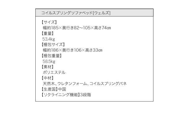 限定品 コイルスプリングソファベッド Welz ウェルズ 3.5P 【CEG8938910459】(32503円)